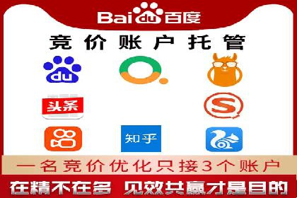深度解析：百度竞价代理的优化策略与成功案例